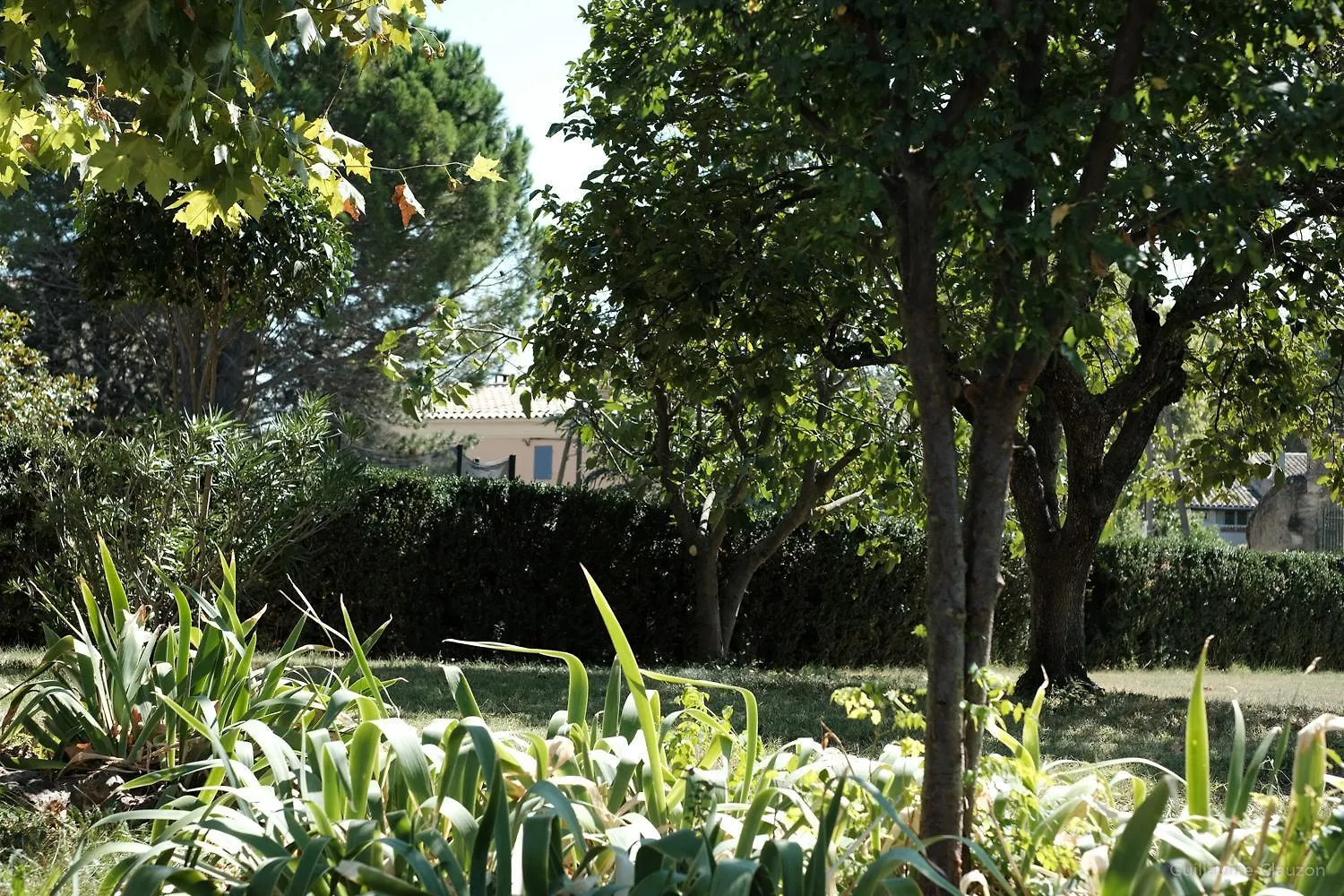 La Maison Du Bonheur Pelissanne France